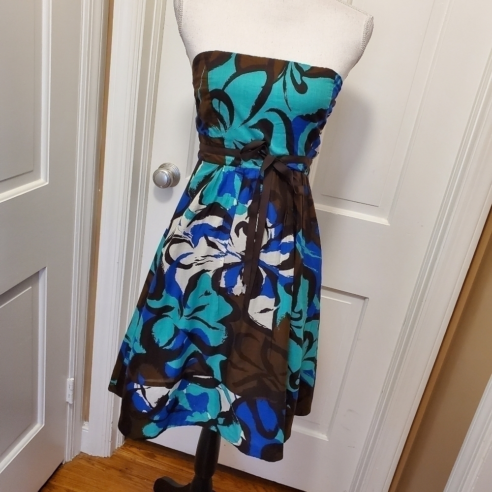 The Limited Floral Strapless A-Line Dress Size 2